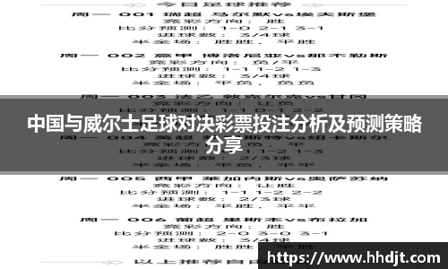 中国与威尔士足球对决彩票投注分析及预测策略分享